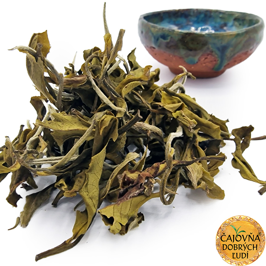 DARJEELING OKAYTI YETTI GREEN EXTRA 2026