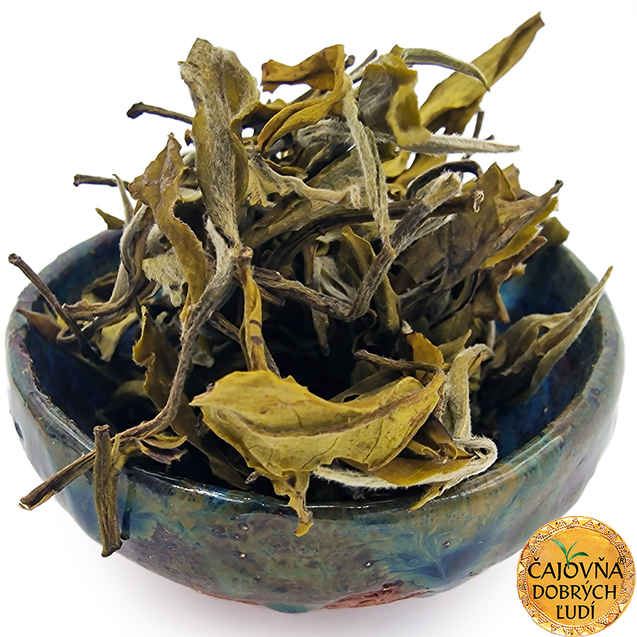 DARJEELING OKAYTI YETTI GREEN EXTRA 2026