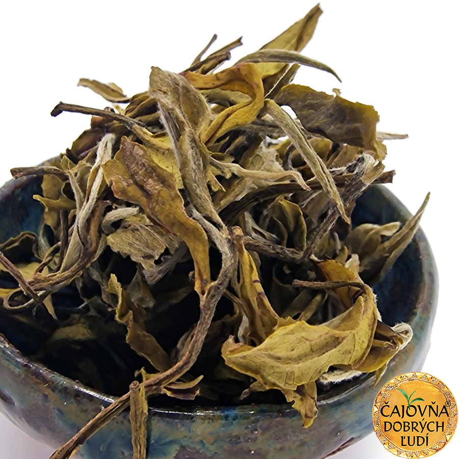 DARJEELING OKAYTI YETTI GREEN EXTRA 2026