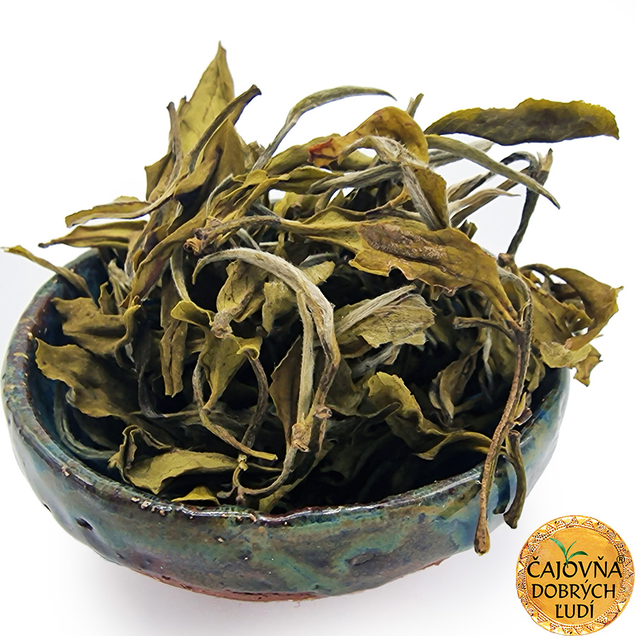 DARJEELING OKAYTI YETTI GREEN EXTRA 2026
