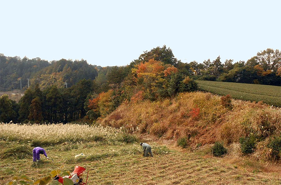 Chagusaba UNESCO Globally Important Agricultural Heritage System 
