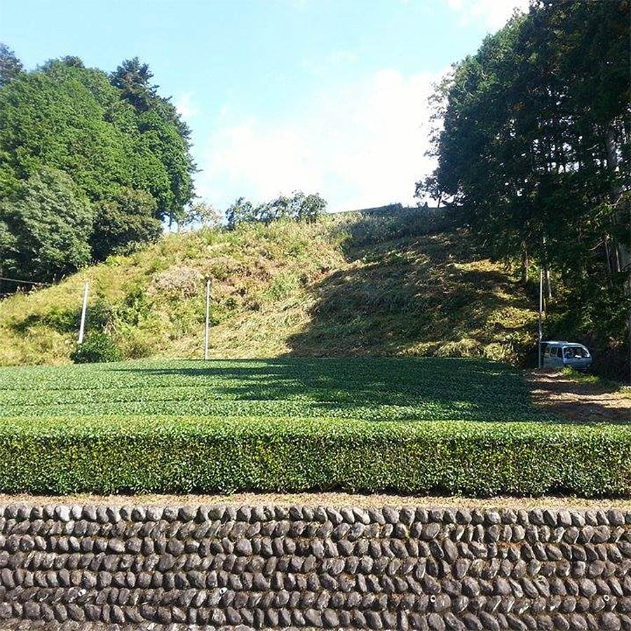 Chagusaba UNESCO Globally Important Agricultural Heritage System 