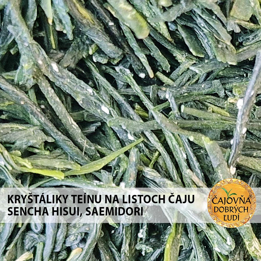  SENCHA HISUI - SAEMIDORI - čaj s kryštálikmi teínu na listoch