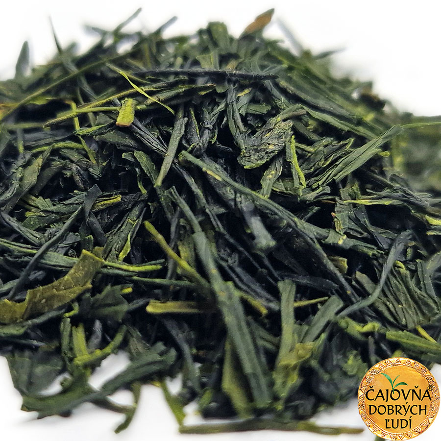 SENCHA MIYAZAKI MEGUMI