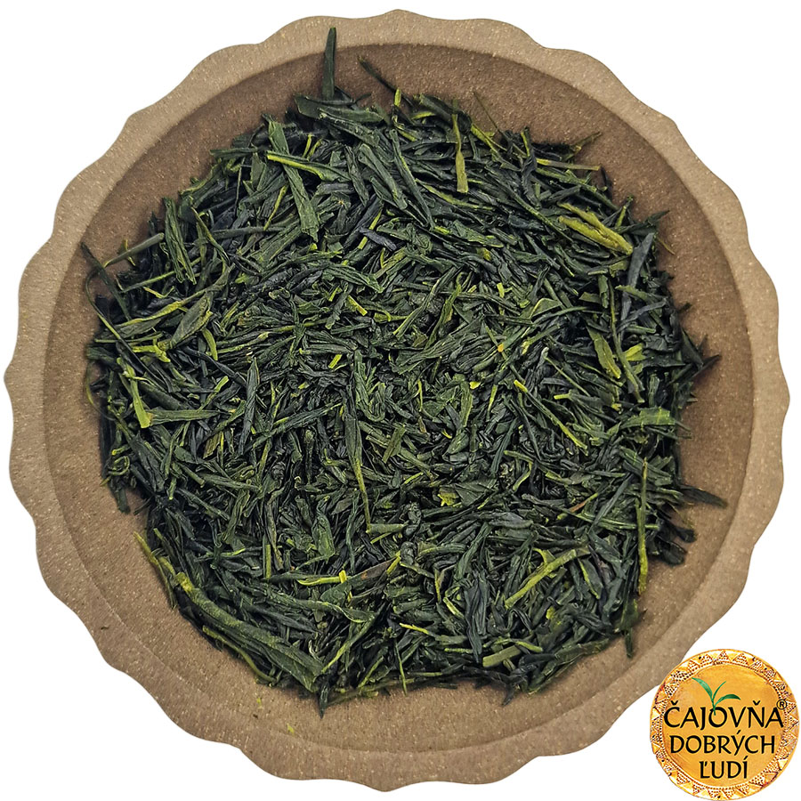SENCHA MIYAZAKI MEGUMI