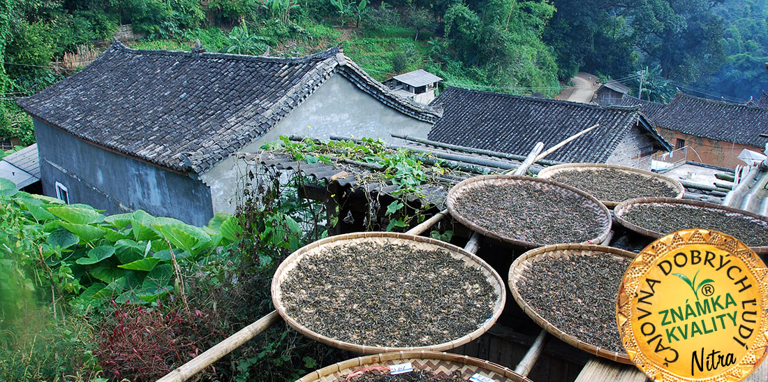 Pu Erh