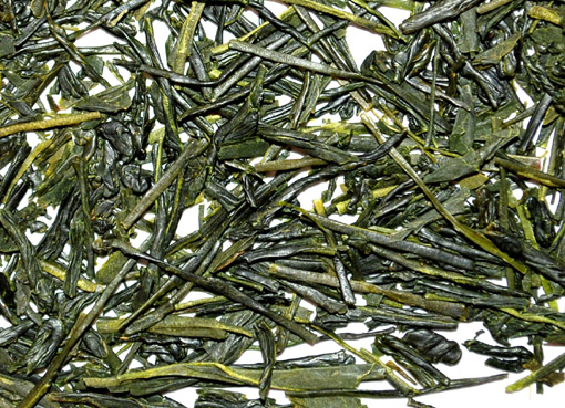 Haruno Sugi Sencha EXTRA