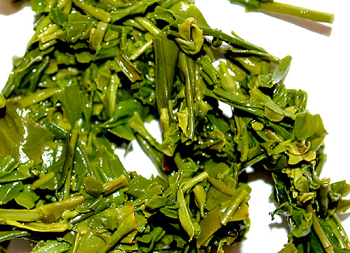 Haruno Sugi Sencha EXTRA