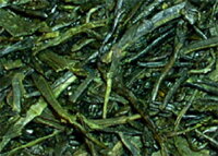 gyokuro