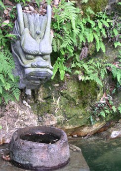 Old Dragon Well - Long jing, Čína