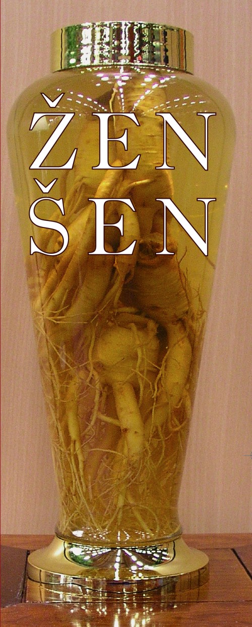 ženšen