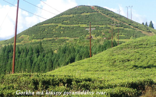 Nepal Tea - nepálsky čaj