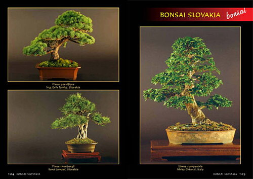 Alena a Vladimír Ondejčíkoví BONSAI SLOVAKIA - Kniha priateľstva