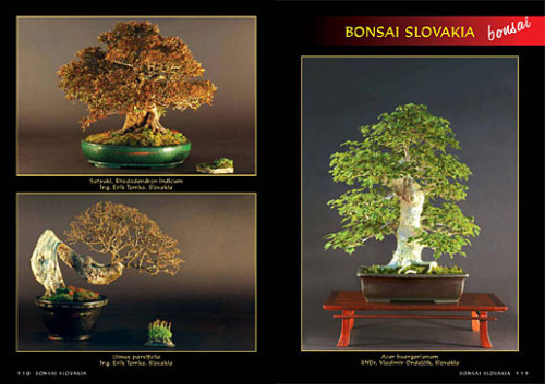 Alena a Vladimír Ondejčíkoví BONSAI SLOVAKIA - Kniha priateľstva