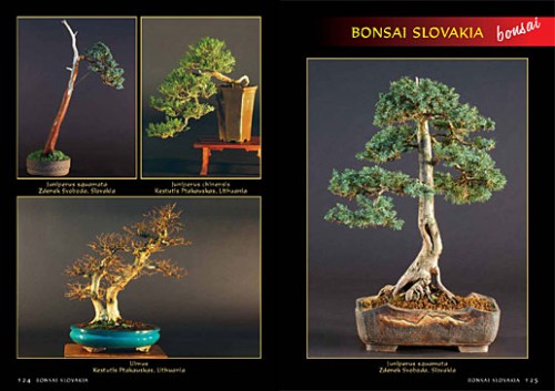 Alena a Vladimír Ondejčíkoví BONSAI SLOVAKIA - Kniha priateľstva