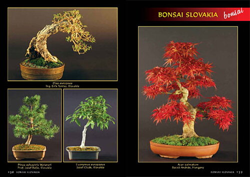 Alena a Vladimír Ondejčíkoví BONSAI SLOVAKIA - Kniha priateľstva