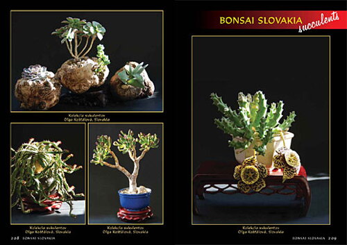 Alena a Vladimír Ondejčíkoví BONSAI SLOVAKIA - Kniha priateľstva