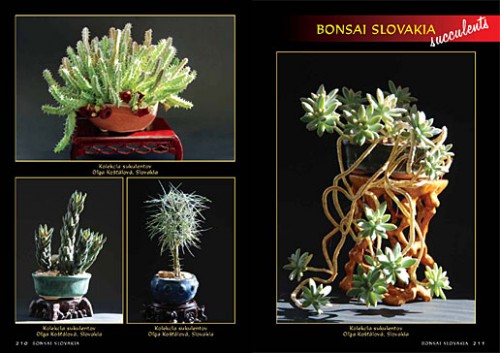 Alena a Vladimír Ondejčíkoví BONSAI SLOVAKIA - Kniha priateľstva