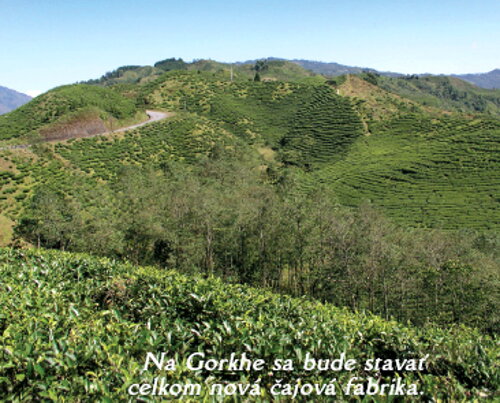 Nepal Tea - nepálsky čaj