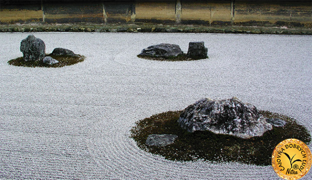 Suchá kamenná záhrada má obdĺžnikový pôdorys s rozmermi 30 m x 10 m a kamene v nej sú uložené v 5 skupinkách po 5, 2, 3, 2 a 3 kusy a sú obkolesené kúskami machu. Žiaden kameň nie je osamelý.