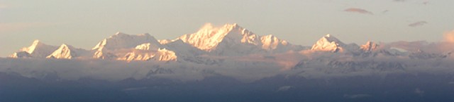 DARJEELING TEA, INDIA