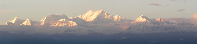 DARJEELING TEA, INDIA