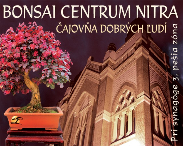 Bonsai centrum Nitra a Čajovňa dobrých ľudí stoja oproti židovskej synagóge uprostred Nitry