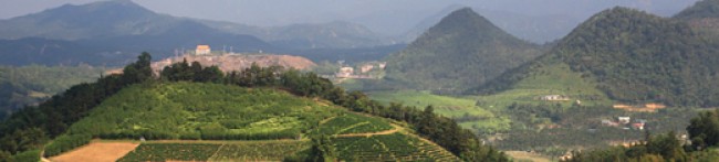 TAIWAN TEA - ČAJOVŇA DOBRÝCH ĽUDÍ, NITRA, SLOVAKIA