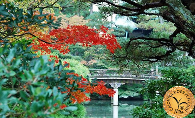 Fotogaléria Kyoto, Uji a čaj gyokuro a matcha - Čajovňa dobrých ľudí, Nitra