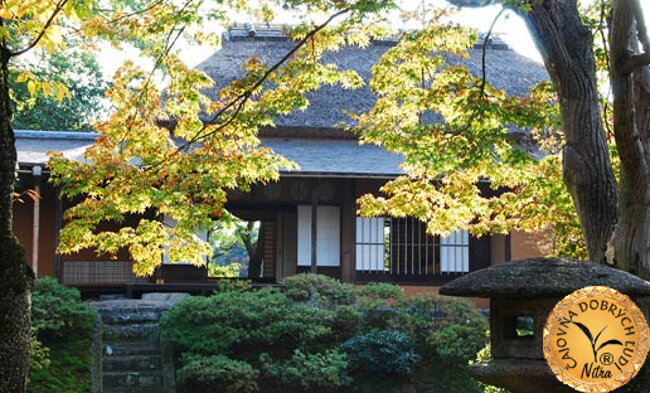 Fotogaléria Kyoto, Uji a čaj gyokuro a matcha - Čajovňa dobrých ľudí, Nitra