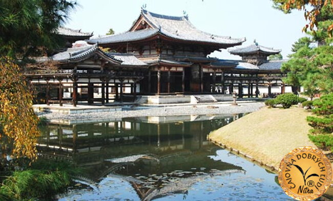 Fotogaléria Kyoto, Uji a čaj gyokuro a matcha - Čajovňa dobrých ľudí, Nitra