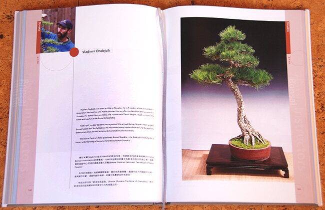 INTERNATIONAL BONSAI INSTRUCTORS