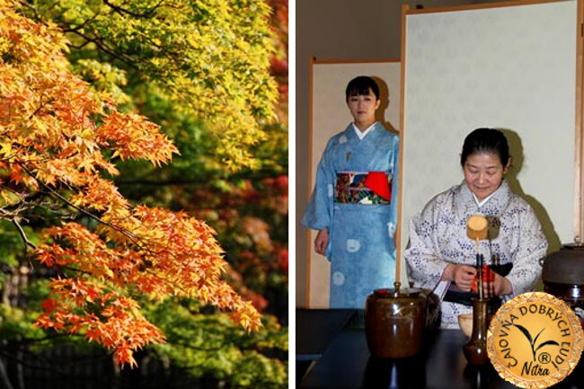 Fotogaléria Kyoto, Uji a čaj gyokuro a matcha - Čajovňa dobrých ľudí, Nitra