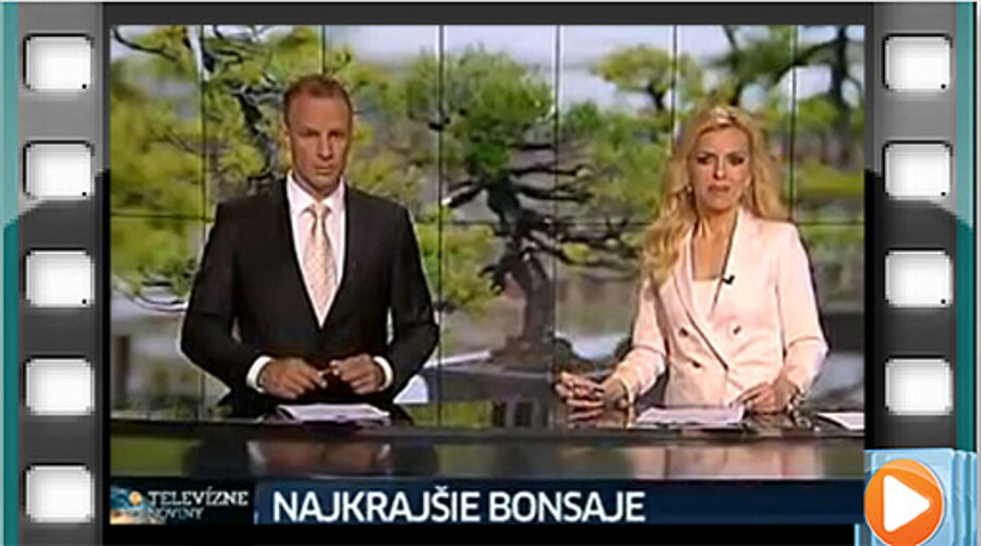  TV MARKÍZA - TELEVÍZNE NOVINY - NAJKRAJŠIE BONSAJE  TV Markíza - Televízne noviny TV MARKÍZA - TELEVÍZNE NOVINY - NAJKRAJŠIE BONSAJE  TV Markíza - Televízne noviny  - ak si nájdete v strednom stĺpčeku stránky shot NAJKRAJŠIE BONSAJE a kliknete naň, zavítate s Markízou opäť na výstavu Bonsai Slovakia 2014 do Nitry:  http://videoarchiv.markiza.sk/video/televizne-noviny/14991_televizne-noviny 