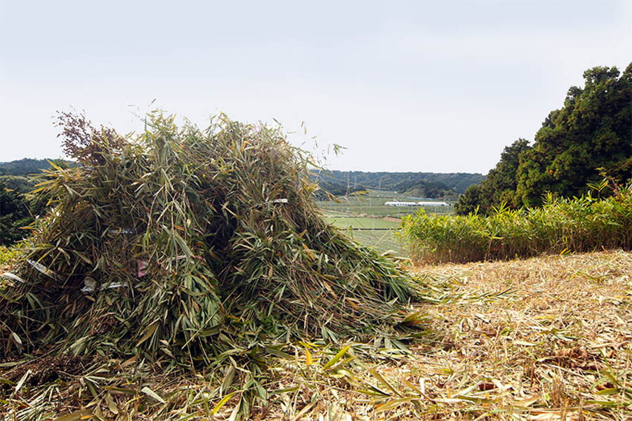 Chagusaba UNESCO Globally Important Agricultural Heritage System 