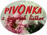 PIVONKA Z ČAJOVÝCH LÍSTKOV