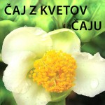 ČAJ Z KVETOV ČAJU