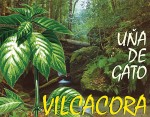 VILCACORA - UŇA DE GATO - Prírodný liek z pralesov Amazónie