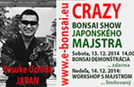 BONSAI CRAZY JAPONSKÝ ŠPECIÁL