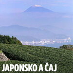 INBAR & RESTAURANT: Japonsko a čaj