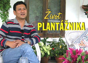 YOGDEEP GURUNG - ŽIVOT PLANTÁŽNIKA