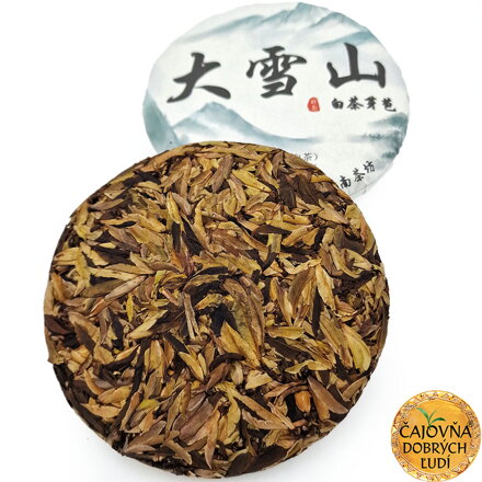 1000-ROČNÝ BIELY KRÁĽ ČAJU, DA-XUE-SHAN 200g - BIELY ČAJOVÝ KOLÁČ