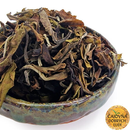 DARJEELING OKAYTI HIMALAYA OOLONG EXTRA 2026