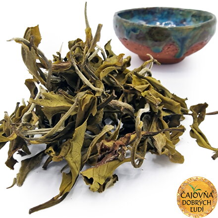 DARJEELING OKAYTI YETTI GREEN EXTRA 2026