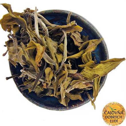 DARJEELING OKAYTI YETTI GREEN EXTRA 2026