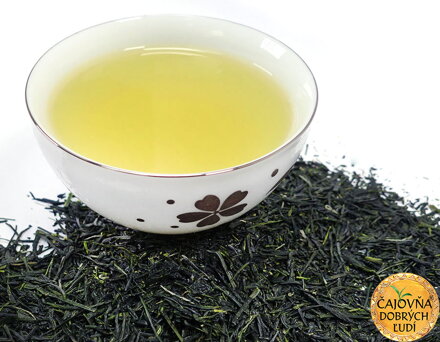 SENCHA ASANOKA