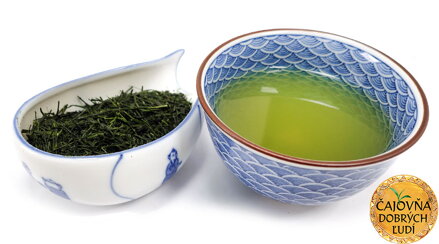 SENCHA ASANOKA