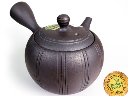 KANVIČKA, ISHIN: METALIC 270 ml
