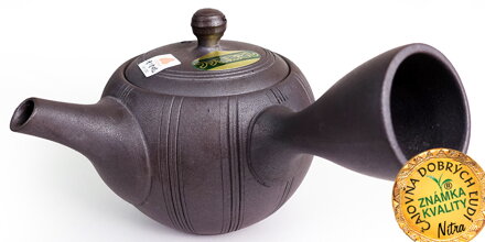 KANVIČKA, ISHIN: METALIC 270 ml