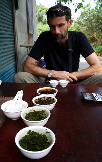 Taiwan, degustácie ostrovných oolongov pestovaných pod palmami